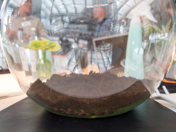 Add enough soil to your terrarium