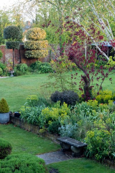 Topiary and emerging foliage in the May garden