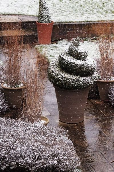 Do you really need pot feet in winter gardening?