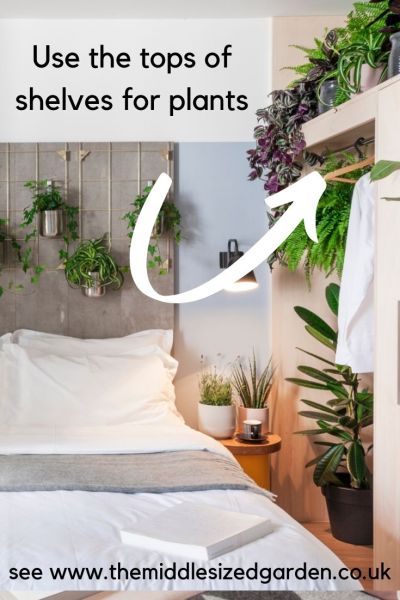 Use the tops of cupboards for plants