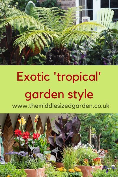 exotic garden design