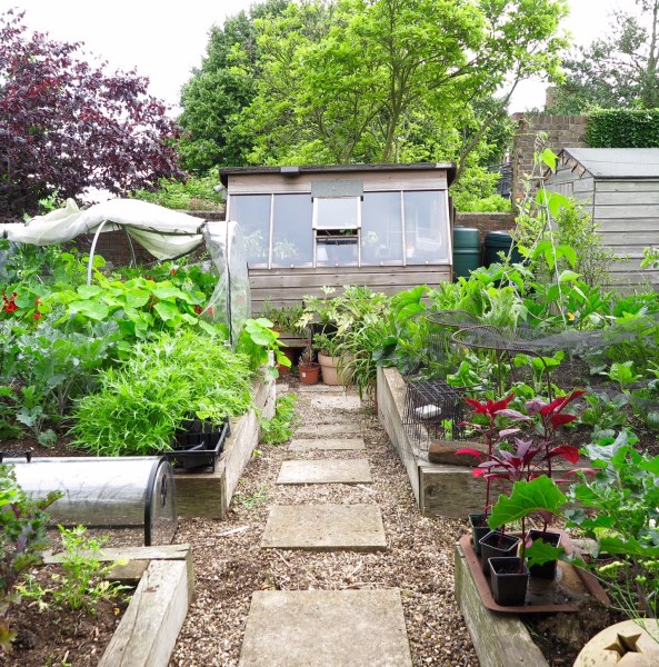 Vegetables in an L-shaped garden.