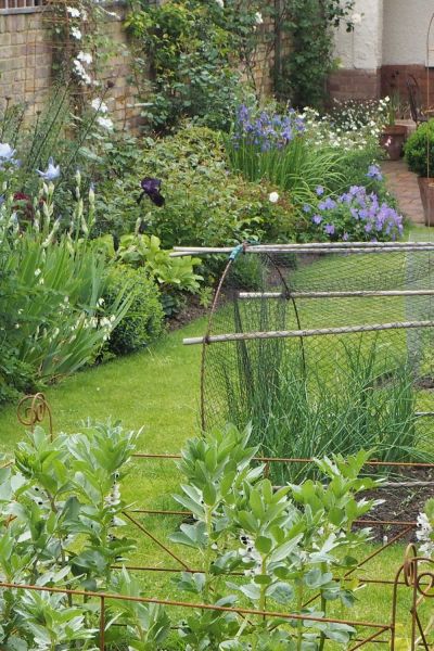 Veg bed in the middle of the lawn