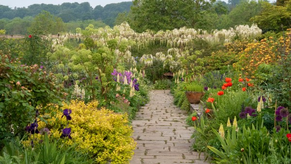 Mixed border with wisteria at Gravetye Manor