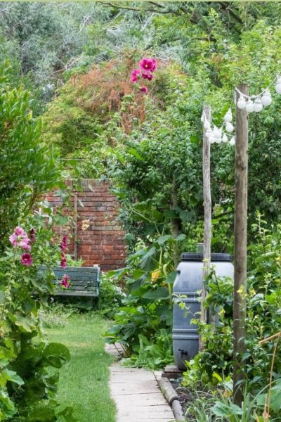 Watering is one of the basics of gardening