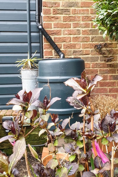 7 water saving garden tips