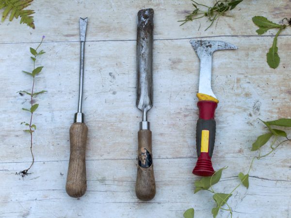 Essential gardening tools and clothes