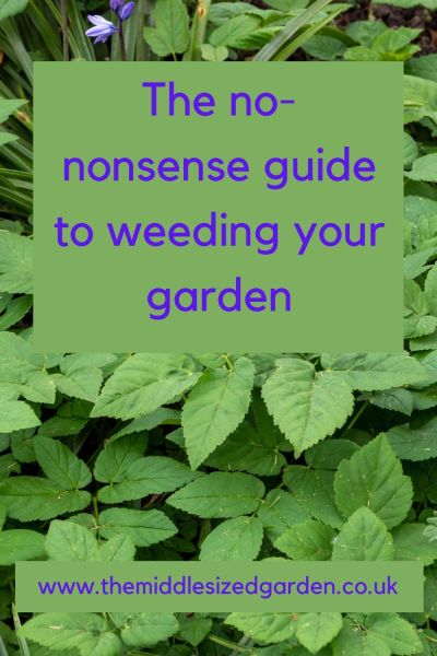 The no-nonsense guide to weeding your garden