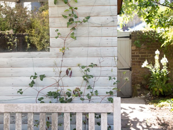 Paint your shed as a backdrop for climbers