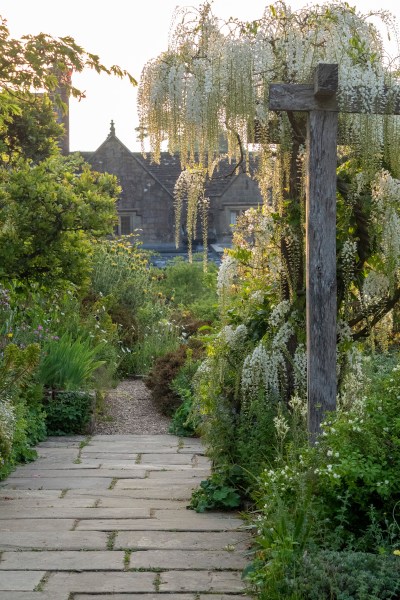 The white wisteria at Gravetye Manor