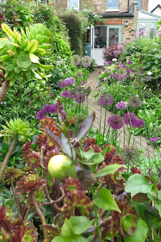 Winding urban garden path