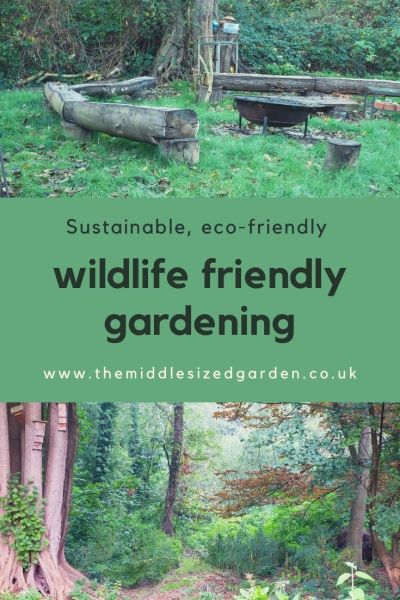 Wildlife friendly garden tips