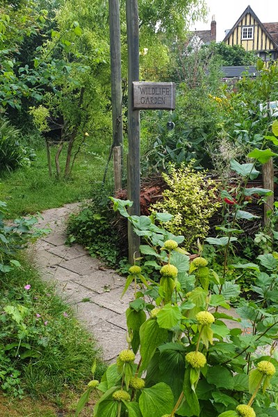 Abbey Physic Community Garden is a wildlife friendly organic garden in the middle of Faversham