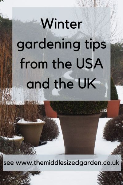 winter gardening advice