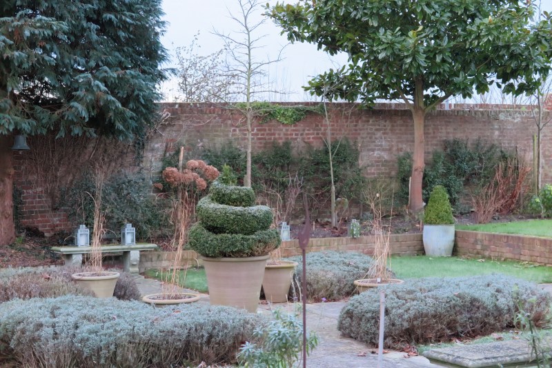 Prune lavender into a sculptural shape for winter