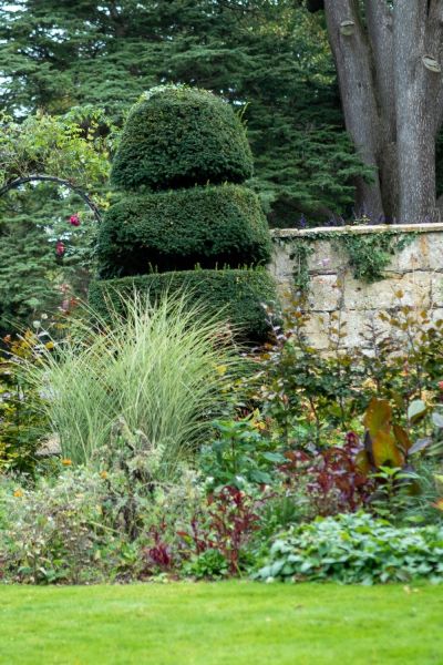 Ornamental grasses offer shelter for wildlife