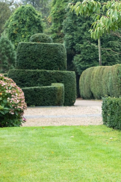 yew topiary