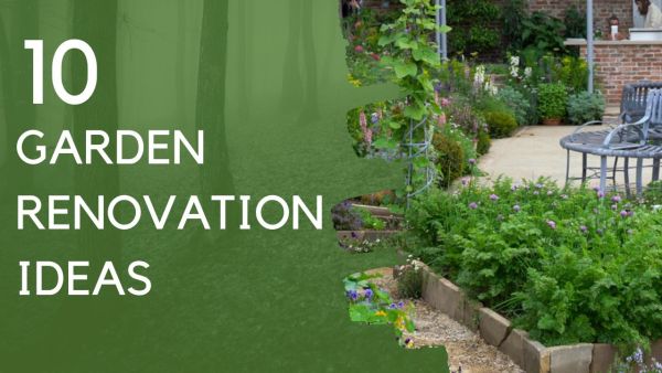 Garden renovation ideas