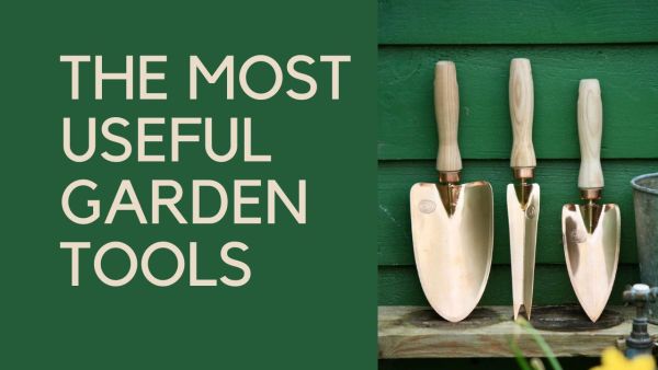 Video on how to choose the most useful garden tools