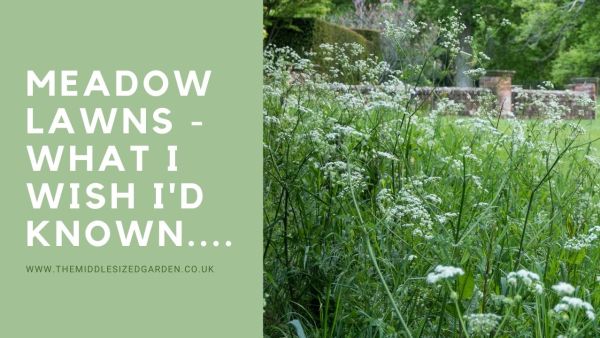 Youtube video on wildflower meadow lawns