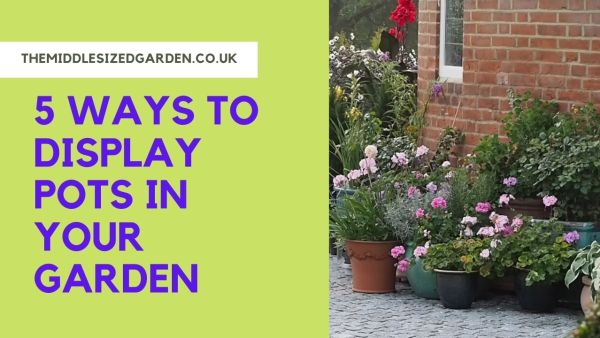 How to display pots in your garden